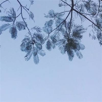 最终公会幻想rpg(FinalGuild)下载